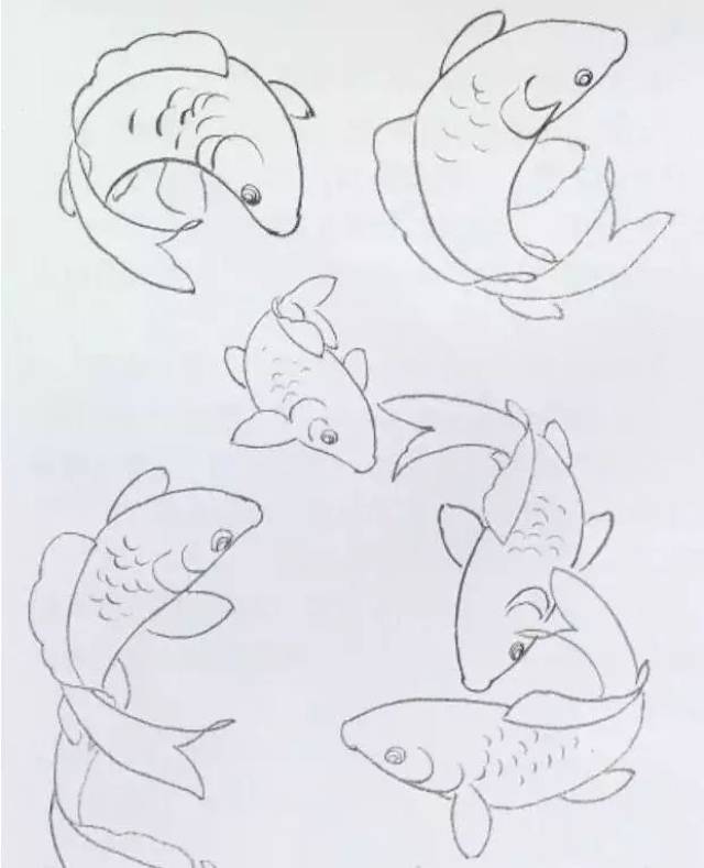 三.工笔鲤鱼的画法与步骤 1.