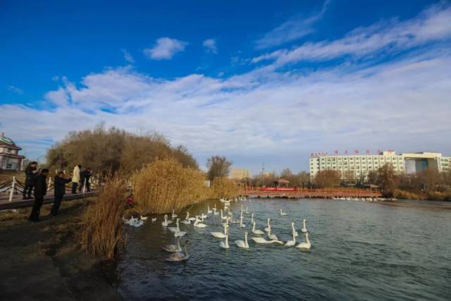 博乐市启动"那达慕"冰雪旅游节,活动为期4个月!