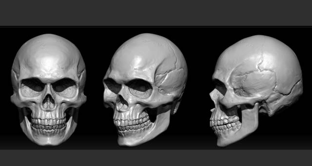 zb基础——头骨雕刻