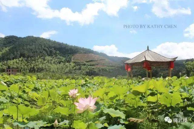 我在芦溪红酒文化节等你 不见不散~ 来源:平和旅游局 编辑:林祎凡