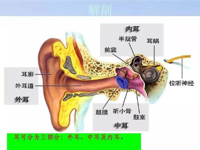 如何避开中耳炎?我们每个人都要注意