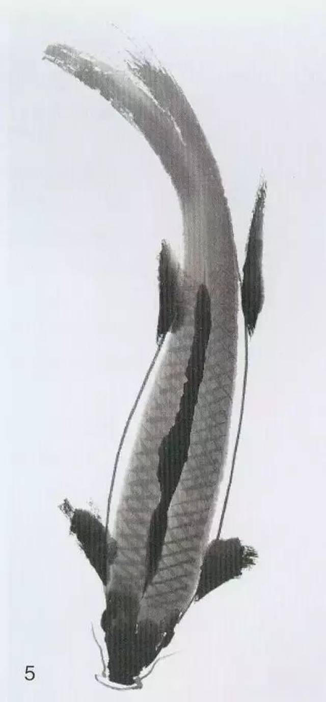 【国画课堂】各种鱼的写意画法