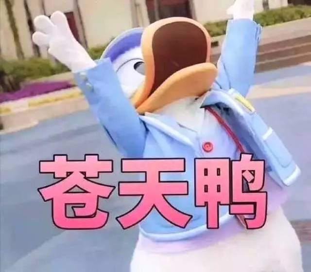 送你一套加油鸭表情包,今天也要加油鸭