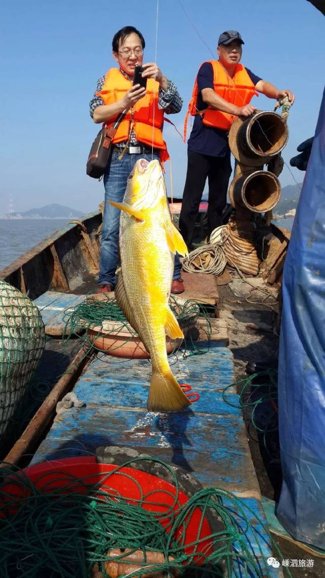 不来嵊泗海钓,你都不知道原来海鱼还能"咕咕"叫!