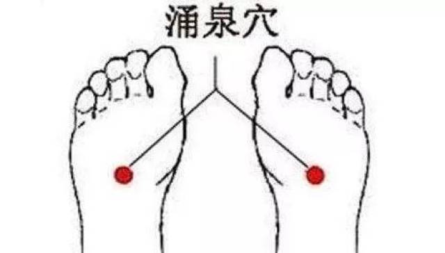 头发肩膀膝盖脚歌曲谱_头发肩膀膝盖脚的图谱(3)