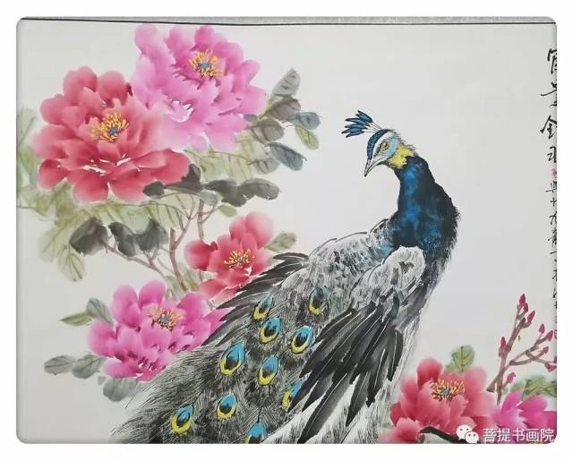 【国画课堂】孔雀的写意画法