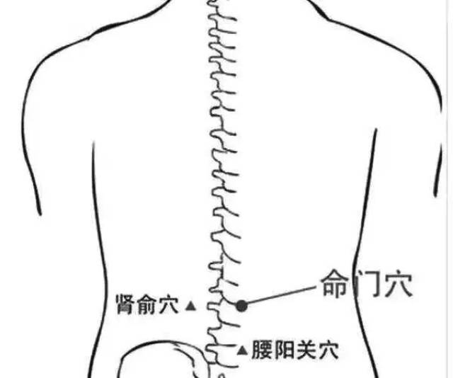 补肾艾灸穴位: 1,肾俞穴 肾俞是肾的背俞