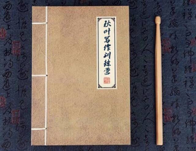 少年,我看你骨骼清奇,这本武林秘籍交给你了