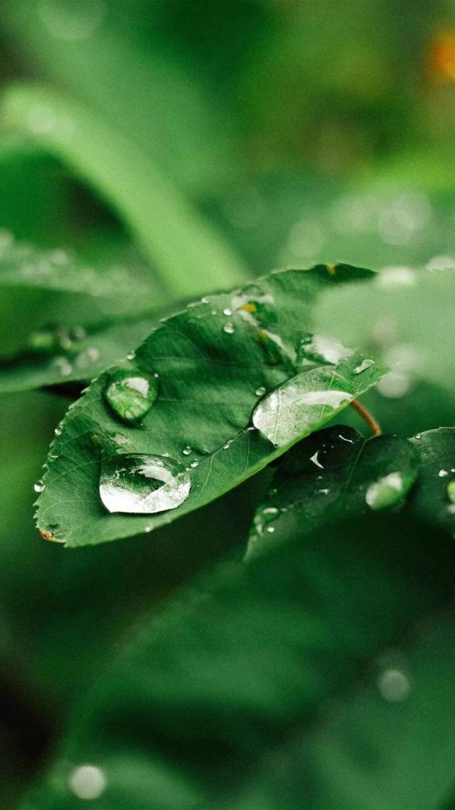 快看,我的屏幕进水了!抖音超火的雨点壁纸图片