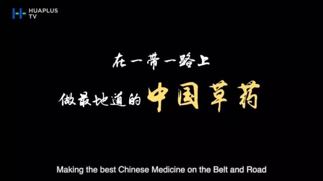 《匈牙利中医拓荒人》荣获“中医药健康文化作