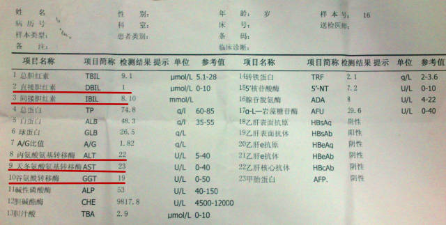 是大三阳还是小三阳?