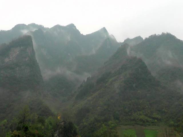 安康紫阳县瓦庙镇:特色产业变荒山为金山银山