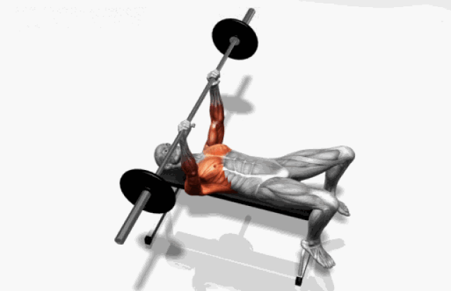 运动器械 513_332 gif 动态图 动图