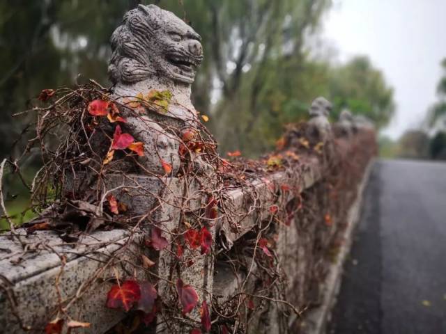 秀水泱泱凭阑处 红船精神湛芳华