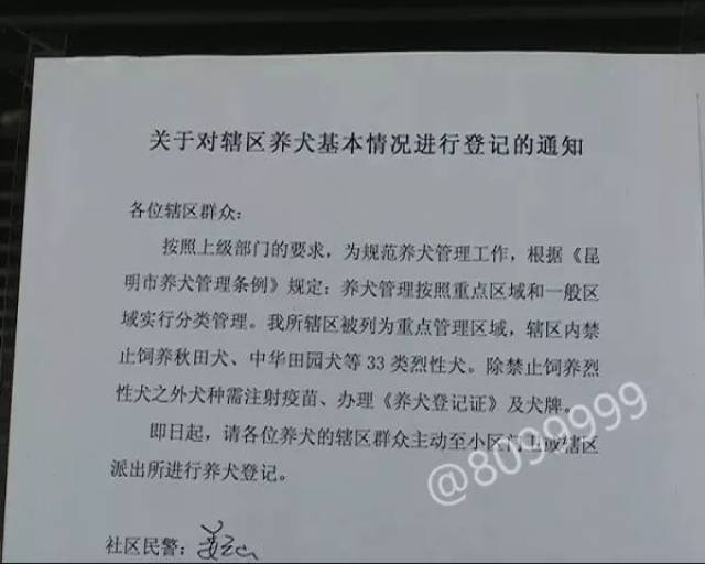 能量|关于这些"养犬管理条例"您怎么看?