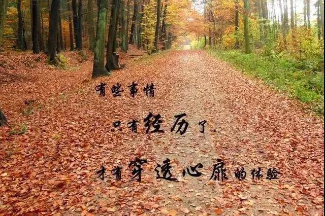 2018Ȧһ仰˵˵ Ȧ