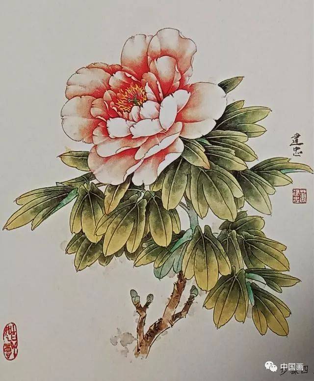 国画花鸟教程 工笔牡丹步骤 简单易