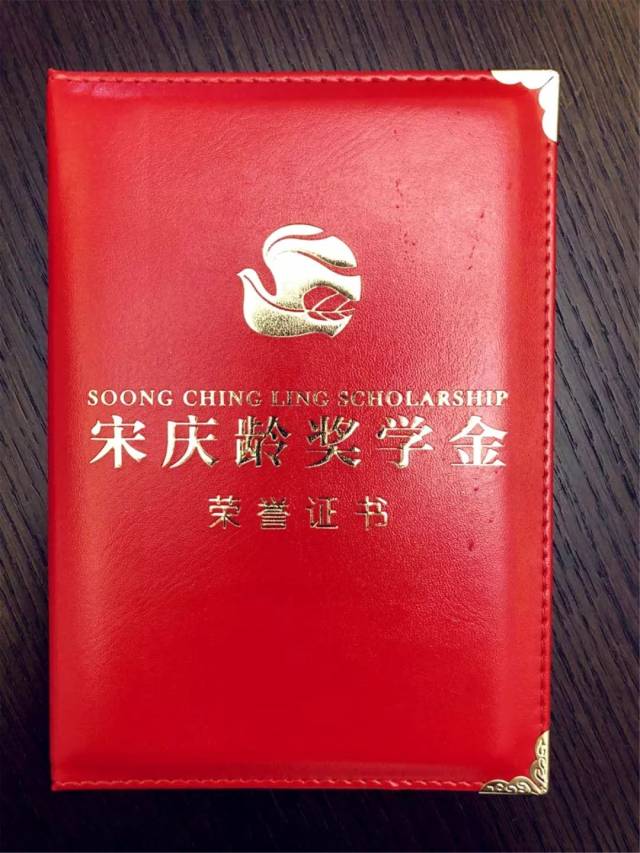我作为南京市优秀学生代表领取了这一国家级奖学金