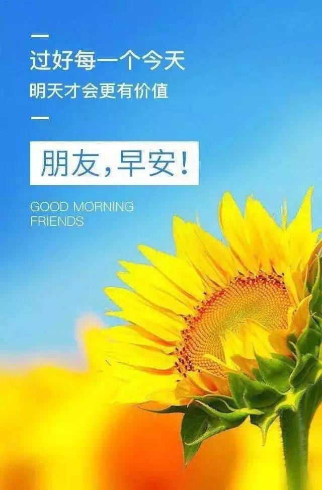 早安奋斗的正能量句子,朋友圈激励语录一句话