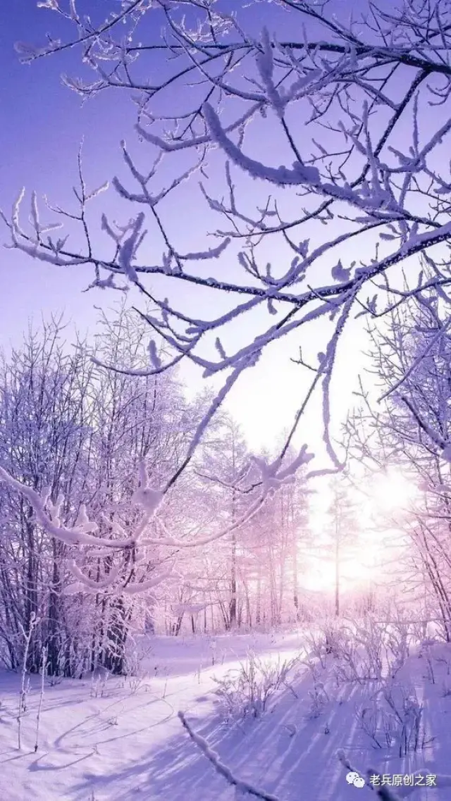 墨水湖面无波涛, 沿岸积雪静悄悄; 此景数年难见到, 冬去春来花枝