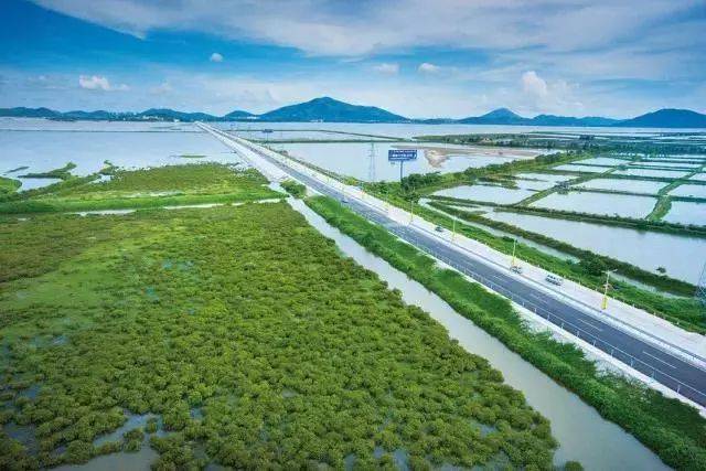 阳江海陵大堤计划拆除?