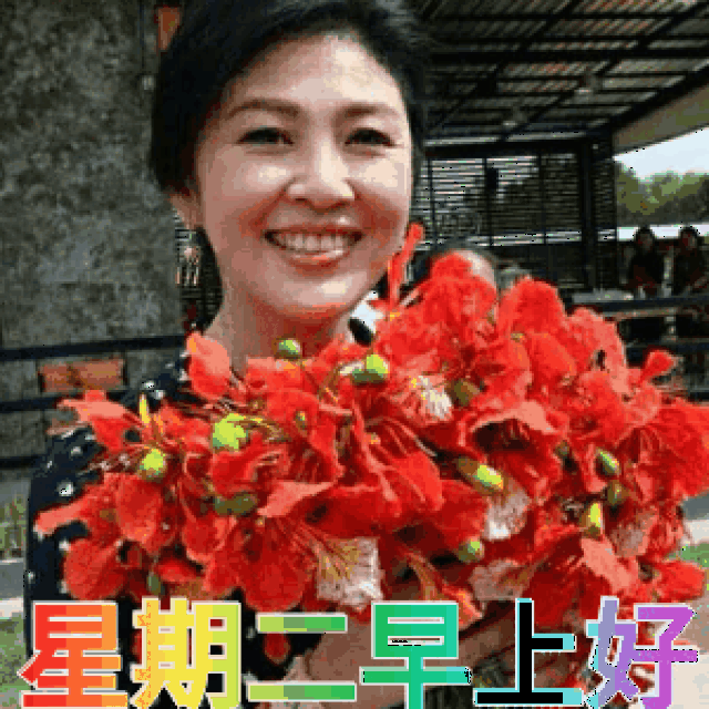 2019刚出的《聊天表情图库》太美了! 不打字就能聊天
