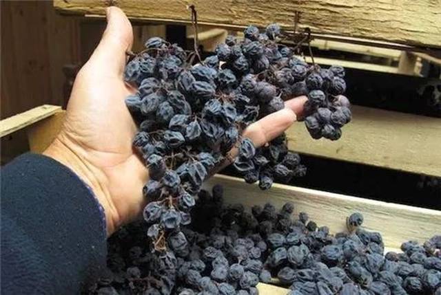 葡萄在风干过程中可能遭遇霉菌滋生状况,风险大,产量低,人工成本高