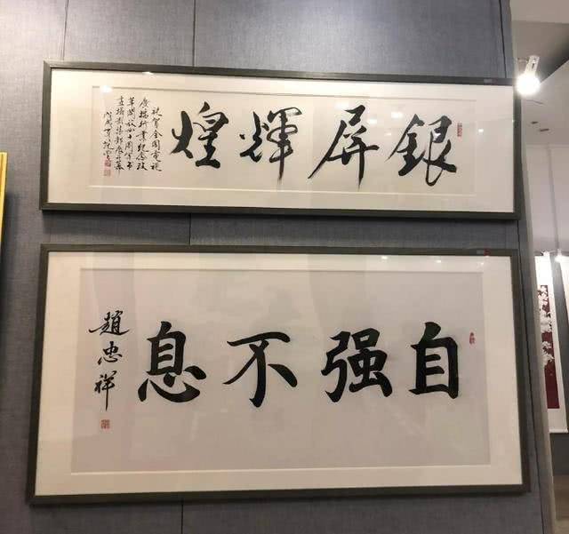 赵忠祥退休后靠书法撑门面?专家点评:字写得不错,但不叫书法