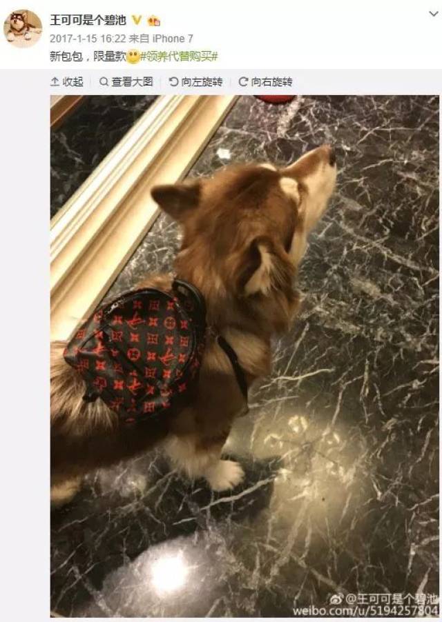 "战神"王思聪