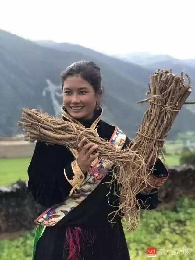 这个女孩叫 格绒卓姆,又叫"迷藏卓玛",今年21岁.