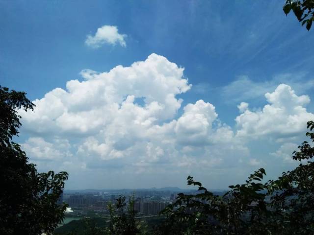 夜读 |余光中《给未来的孩子的诗》