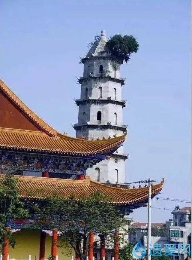 湖北黄州青云塔,安国寺美图(图文)