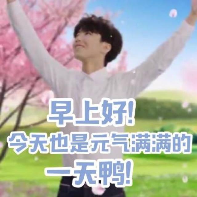早上好,今天也是元气满满的一天鸭