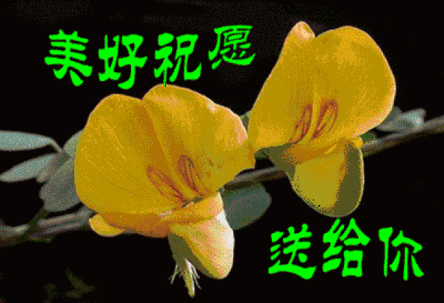 12月第一天,我把第一份祝福,送给最最最亲爱的朋友!