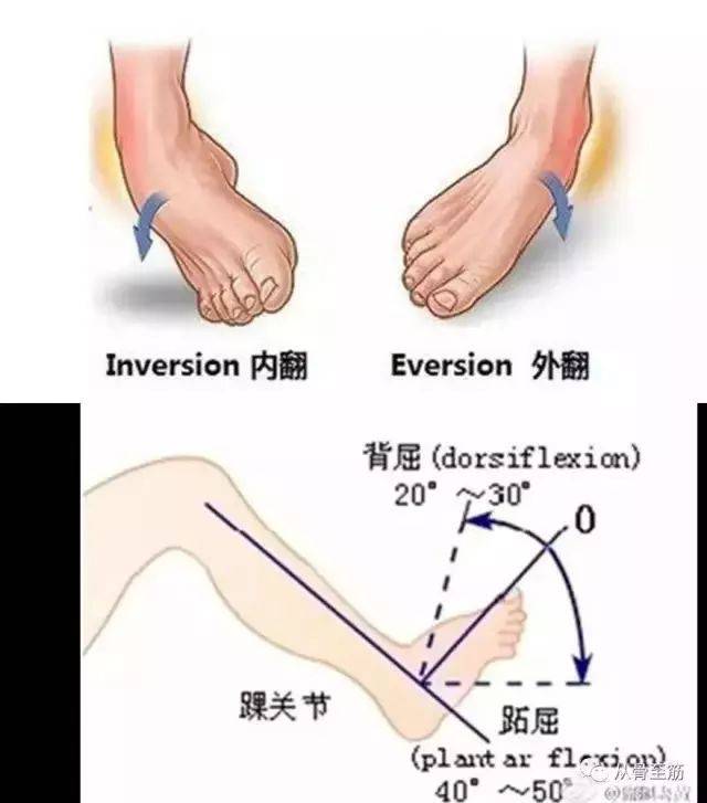 踝关节在锻炼或下垂时,有时会出现关节肿胀, 属正常现象,平卧时抬高患
