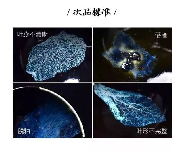 他将失传700年的"世之神器"成功复烧,冰蓝木叶天目盏押窑,惊艳上线!图片