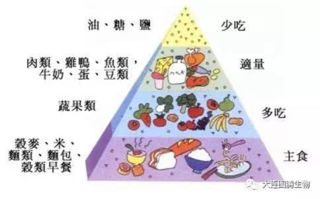 营养疗法——重要的肿瘤治疗方法
