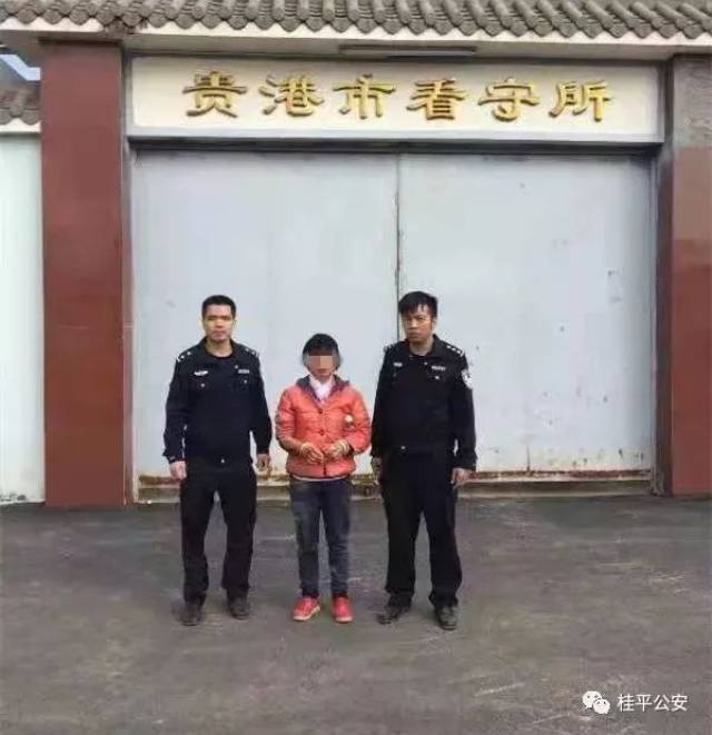 桂平两个加起来上百岁的"兄妹",竟然扮演这出好戏,将自己送入监狱