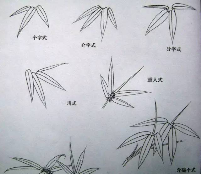 【科普之窗"四君子"梅,兰,竹,菊画法,实用收藏!