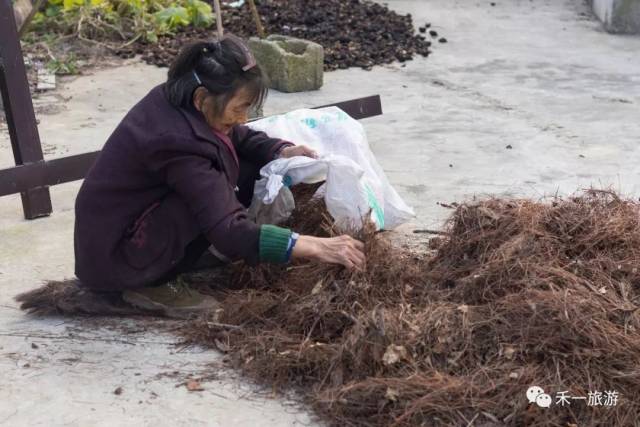 游走慈利三合镇美丽乡村 邂逅雷岩风光慢生活