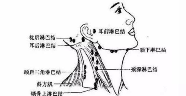 淋巴腺肿瘤症状腋下疼痛,但摸不到肿块,先是右臂疼,后来右腋下窝疼,是