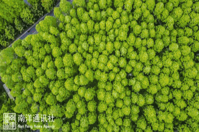 动图看交大!倾城时光.gif,第一张你就很熟悉