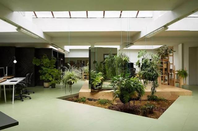 这个空间的活力立刻被释放出来 植物景观也可以在比较狭小的室内空间