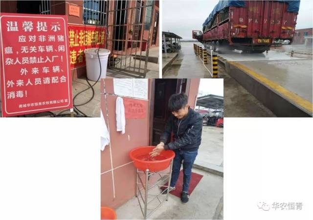 【公司动态】热烈祝贺华农恒青南城基地11月份销量超15000吨