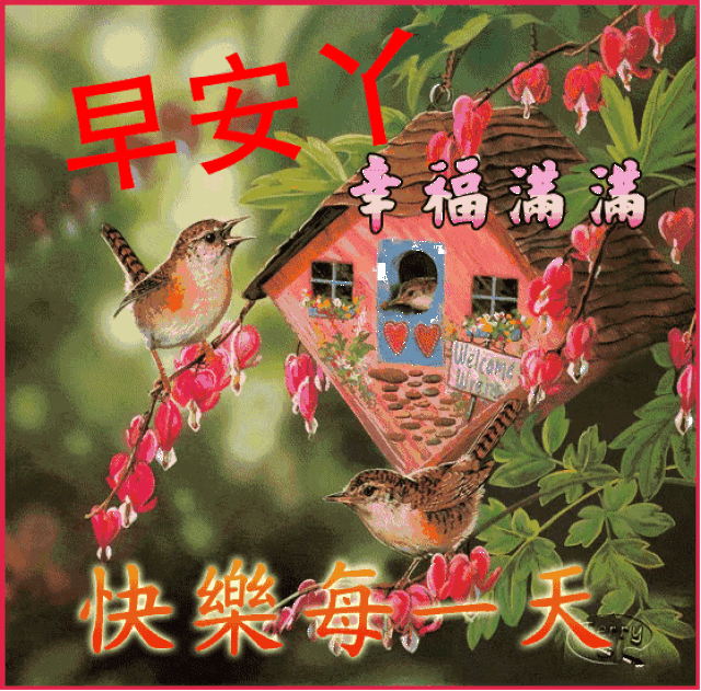 晨曲,早安!