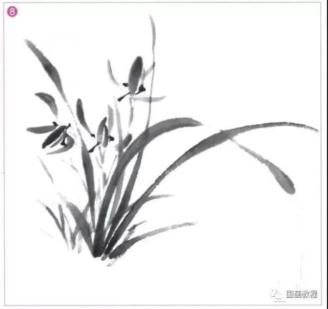 【国画教程】写意兰花范画解析,学习一下?