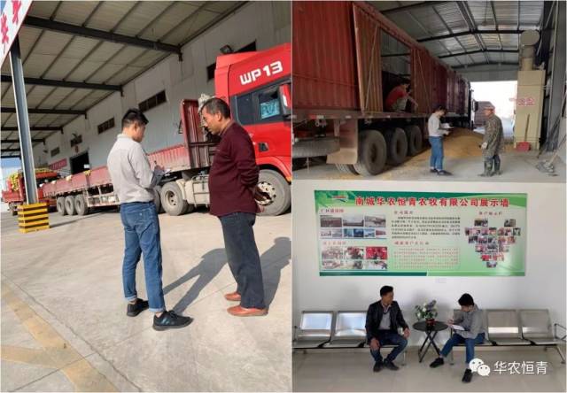 【公司动态】热烈祝贺华农恒青南城基地11月份销量超15000吨