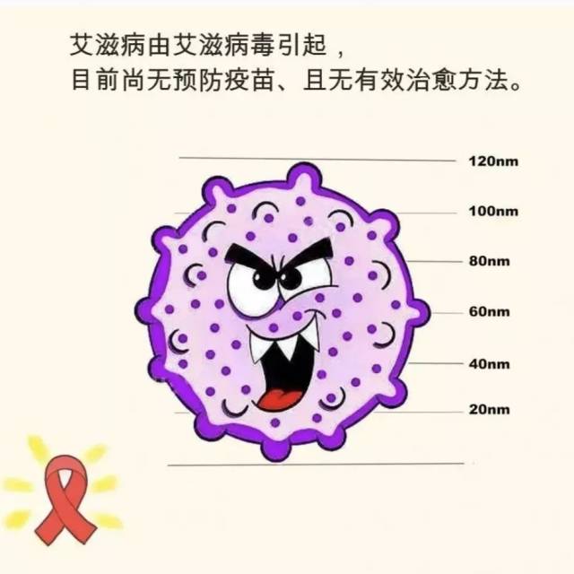 艾滋病病毒(hiv)通过严重破坏人体免疫功能,造成人体的抵抗力极度低下