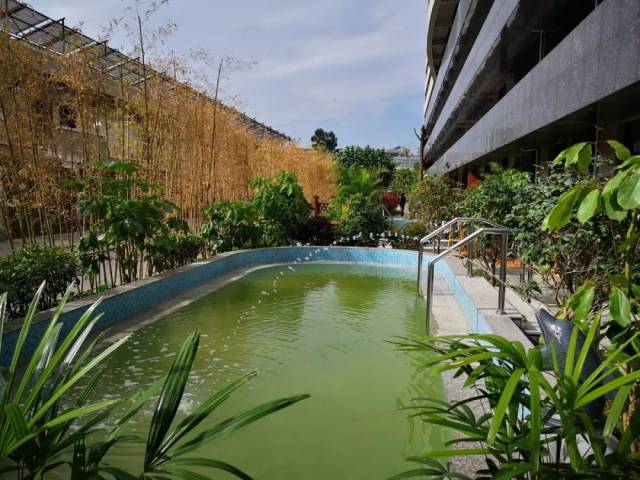 一周资讯丨厦门地震,阿尔勒颁奖,这些大事你亲身经历了吗?