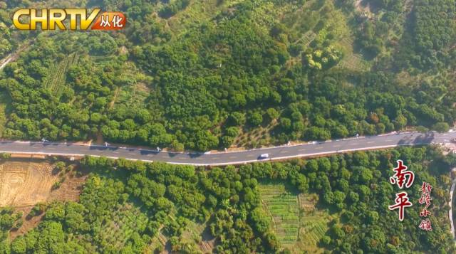 【视频】凤凰山下南平静修小镇飞出了一只“金凤凰”